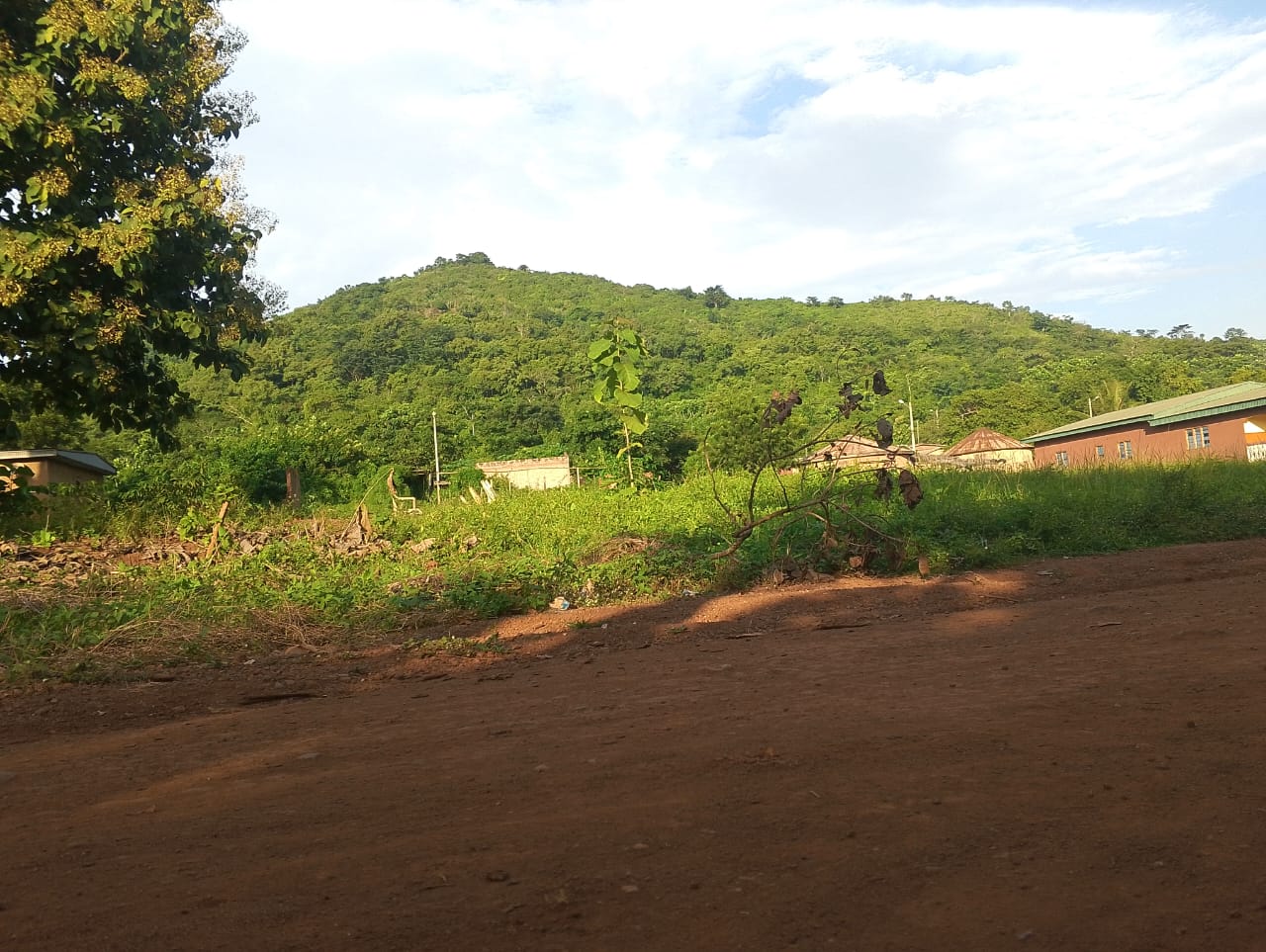 Les pentes boisées de la colline Marankoudio